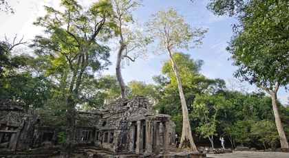 Ta Promh temple