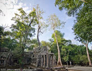 Angkor Transport Tuk Tuk Kbal Spean, Banteay Srey