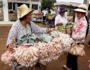 selling fish rolls & oranges from Battambang
