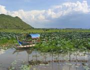 Kamping Puoy Lake - Batttambang