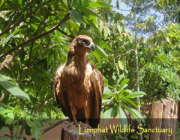 Lumphat Wildlife Sanctuary - Ratanakiri