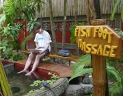 Fish Massage - Siem Reap