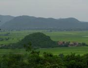 Phnom Trong Morn Trong Tea - Battambang
