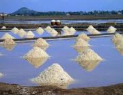 Salt Manufacturing - Kep