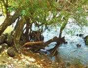 Sek Sork Natural Resort - Battambang