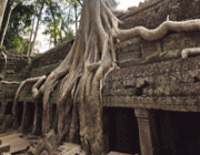 Siem Reap Phnom Penh