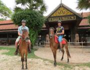 The Happy Ranch Horse Farm - Siem Reap