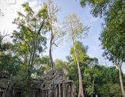 2 Days Angkor Wat Bayon Ta Promh and Beng Mealea Tour