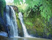 Virachey National Park - Ratanakiri